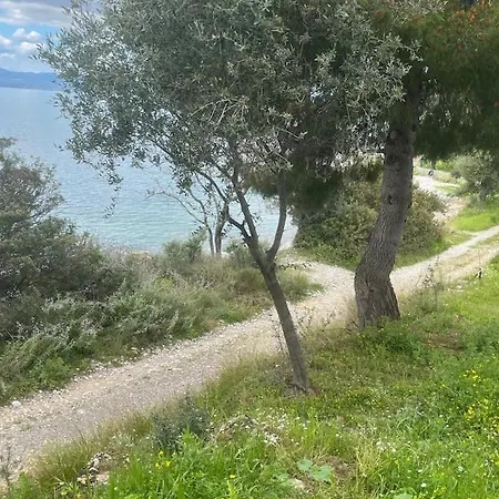 Σπίτι διακοπών Sadova Messinia Pearl Cozy Seafront House Αβία
